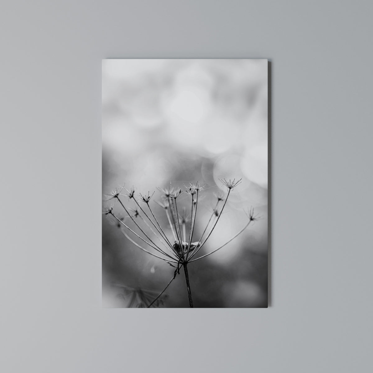 MINIMALIST BLOOM Vertical Canvas Print