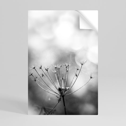 MINIMALISTISK BLOOM-poster med självhäftande motiv