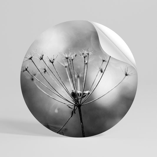 MINIMALIST BLOOM Rund väggdekal