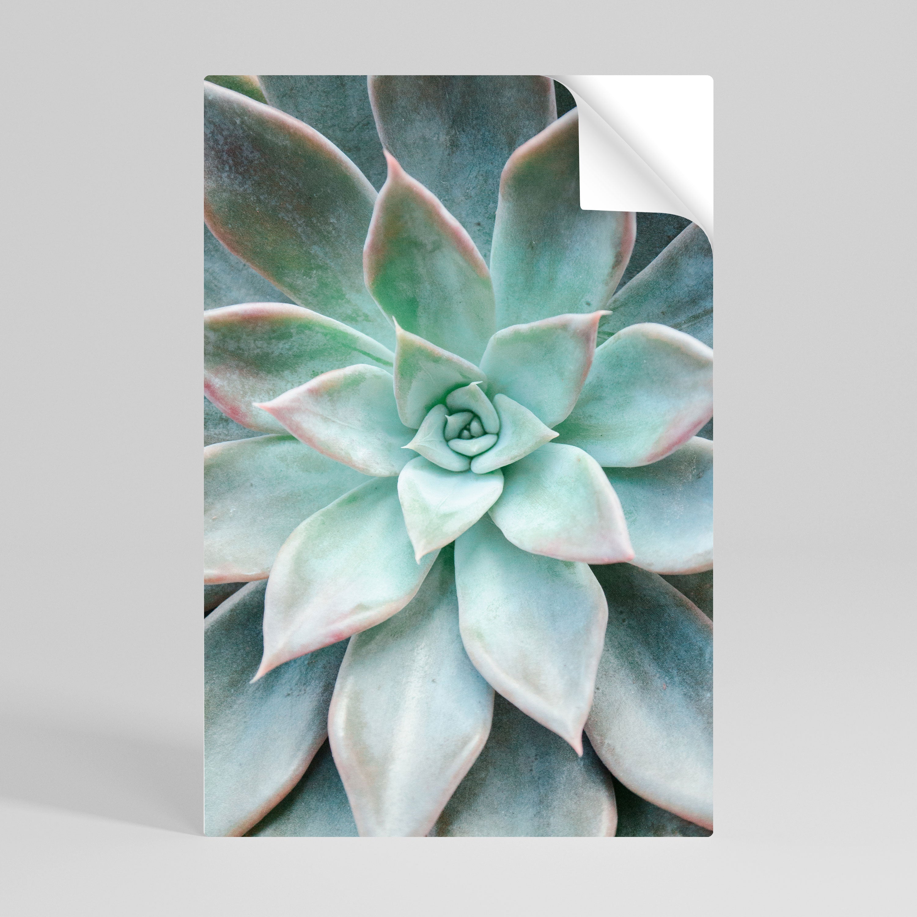 GEOMETRIC GARDEN MAGIC Självhäftande Vertikal Poster