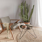 PALM SHADOW DANCE Coffee Table