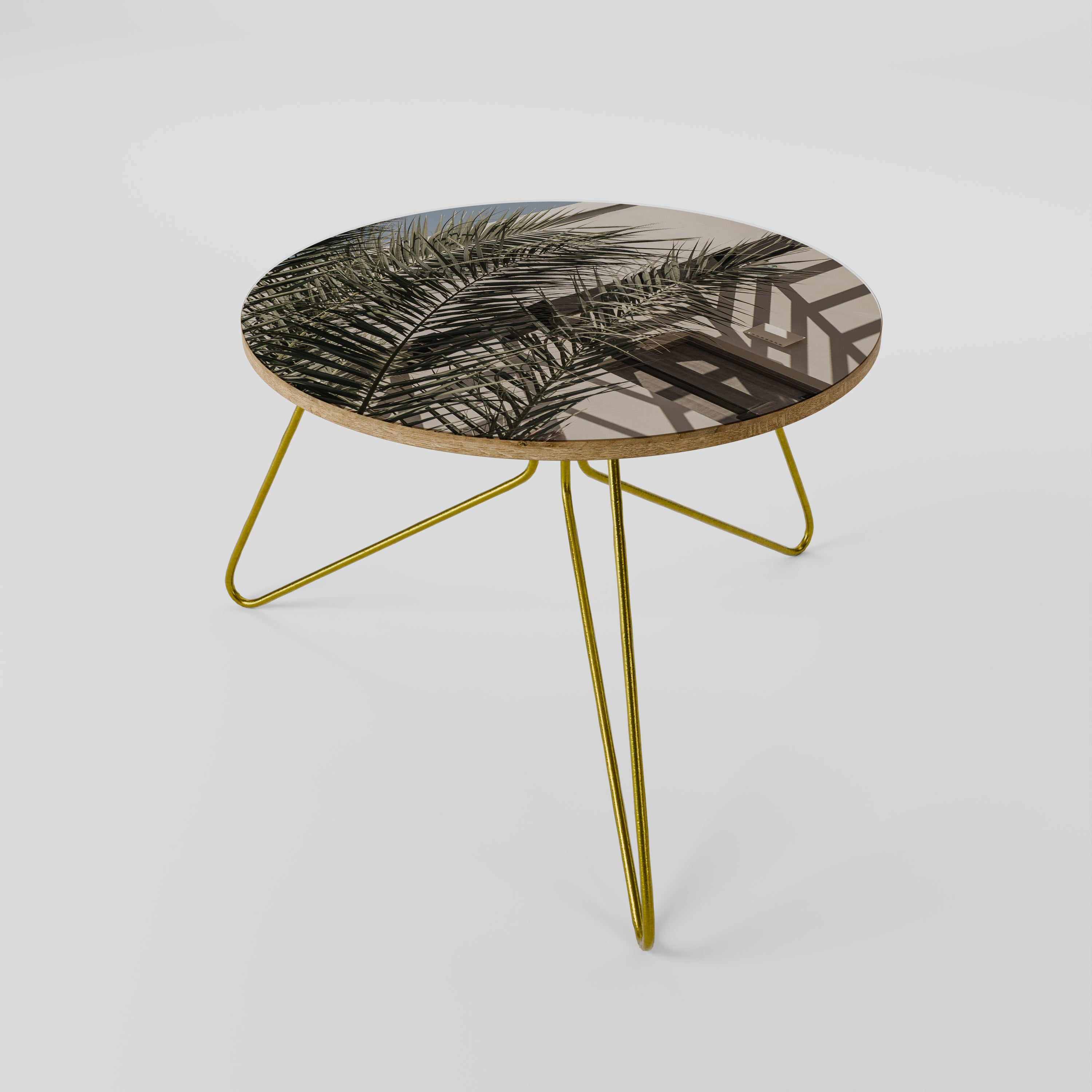 PALM SHADOW DANCE Coffee Table