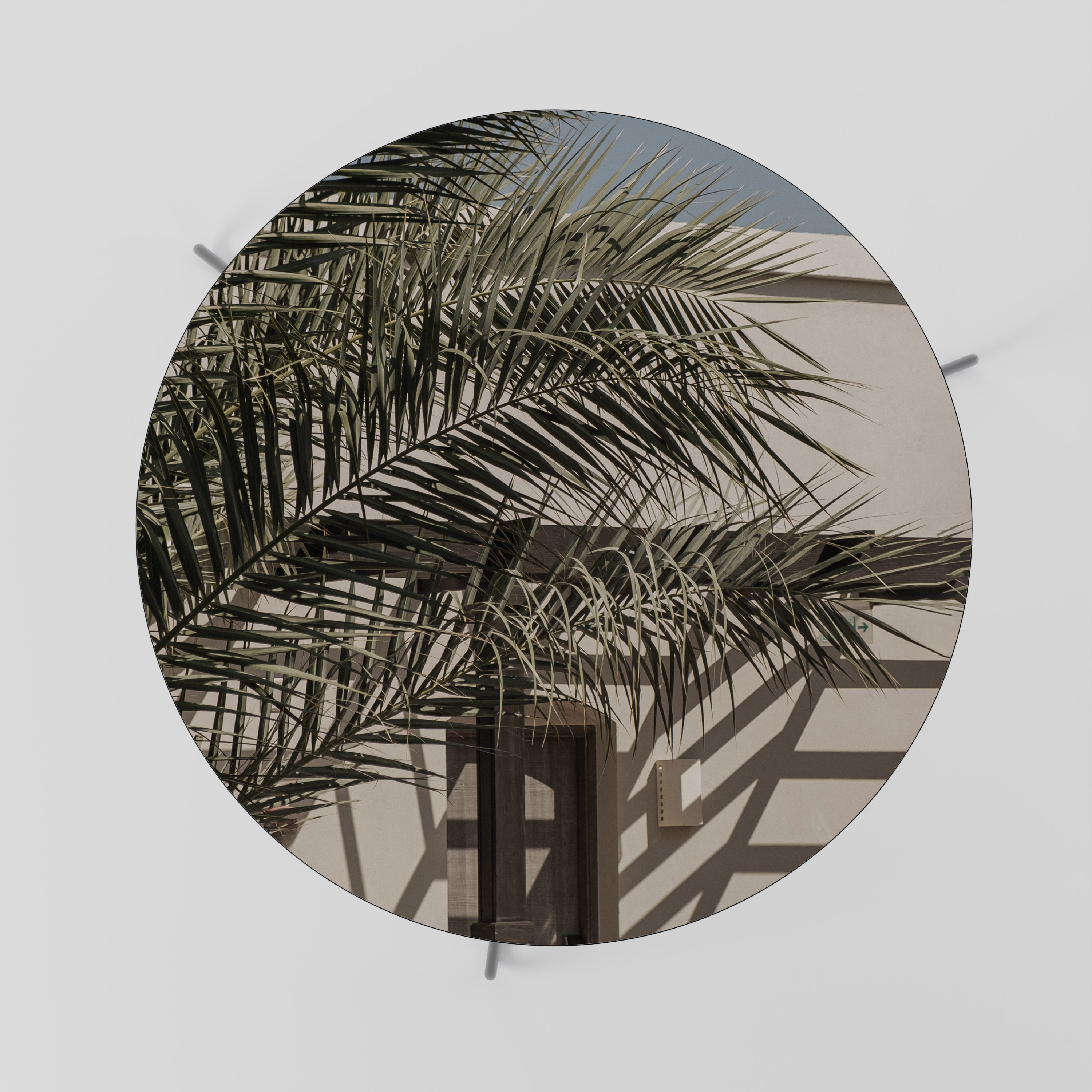 PALM SHADOW DANCE Coffee Table