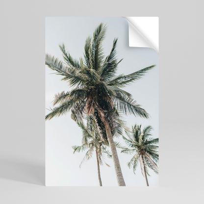 PALM PARADISE SIGHT vertikal affisch med självhäftande text