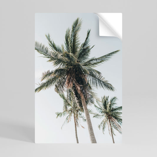PALM PARADISE SIGHT vertikal affisch med självhäftande text