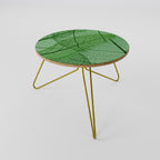 VEINS OF LIFE Soffbord