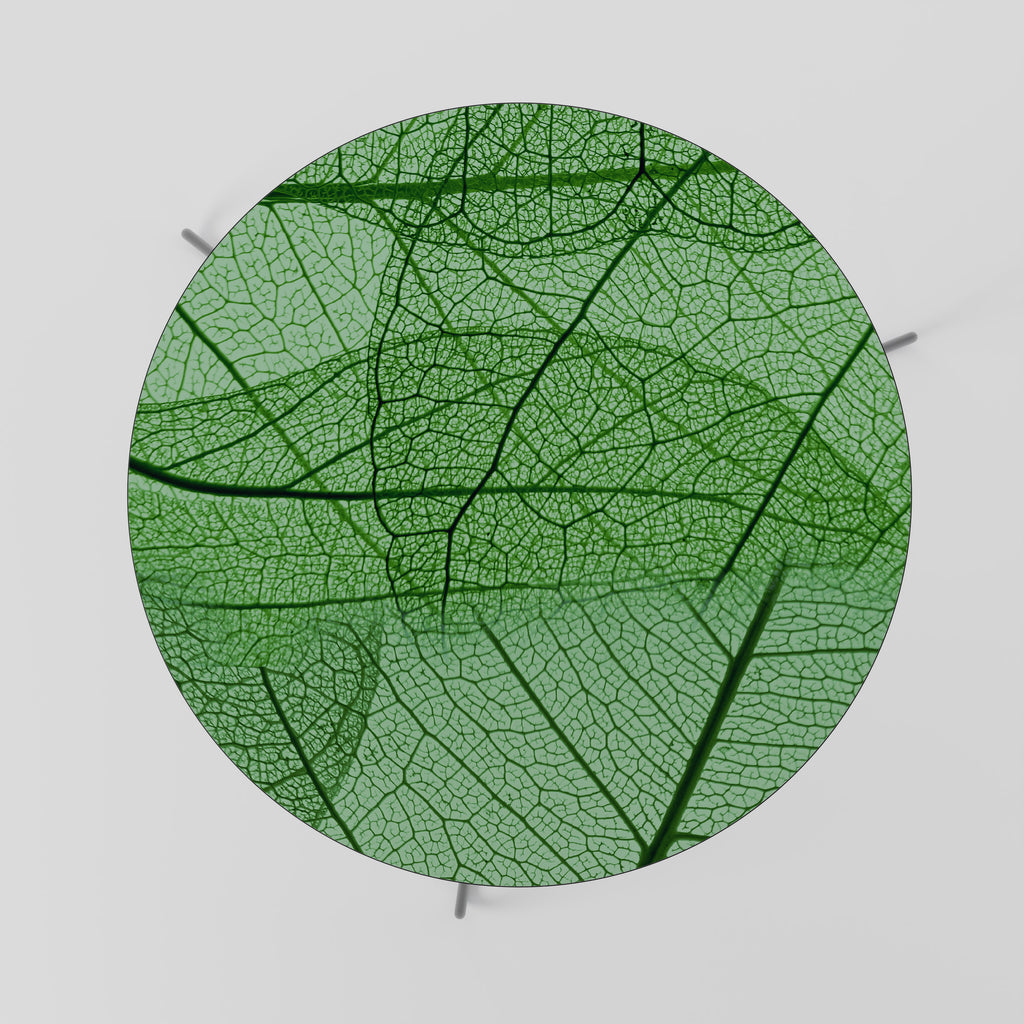 VEINS OF LIFE Soffbord