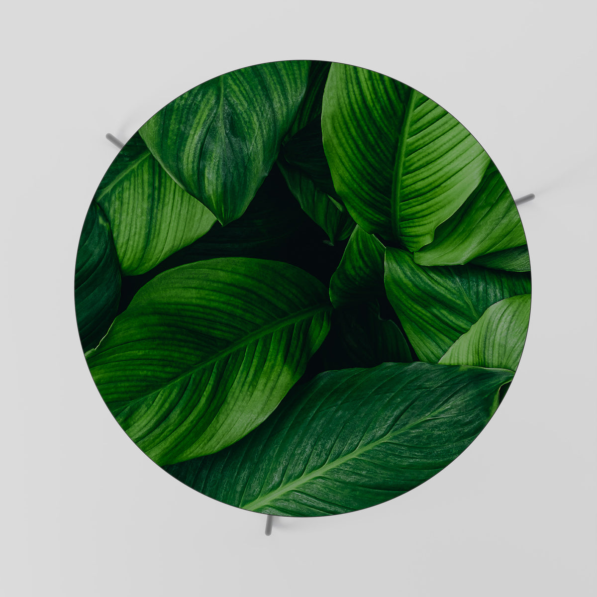 VIBRANT LEAFY EMBRACE Soffbord