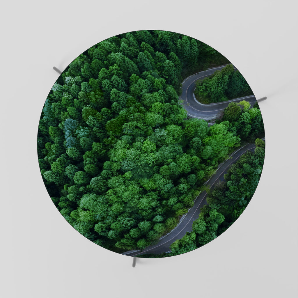 ENCHANTED FOREST RIDE Soffbord