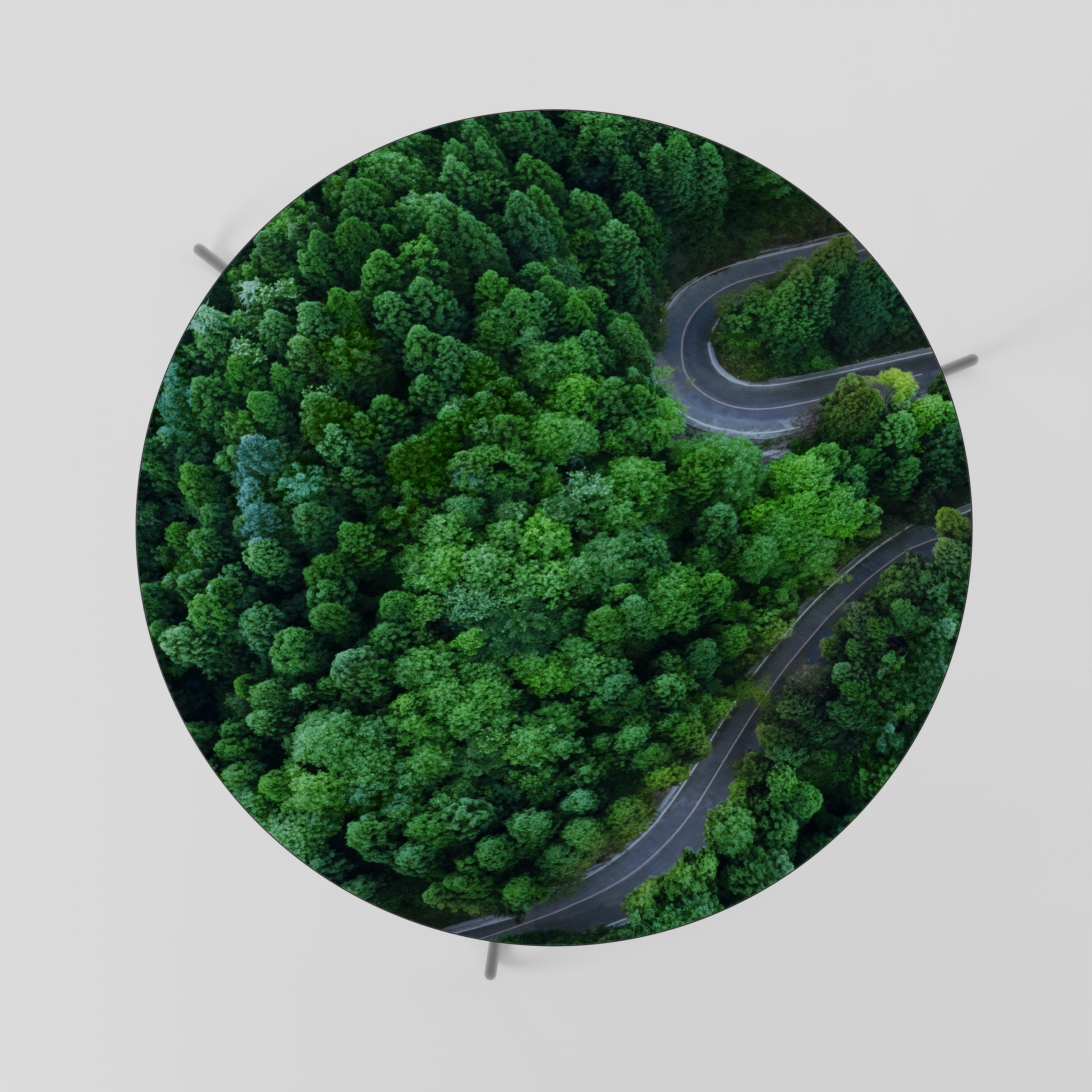 ENCHANTED FOREST RIDE Soffbord