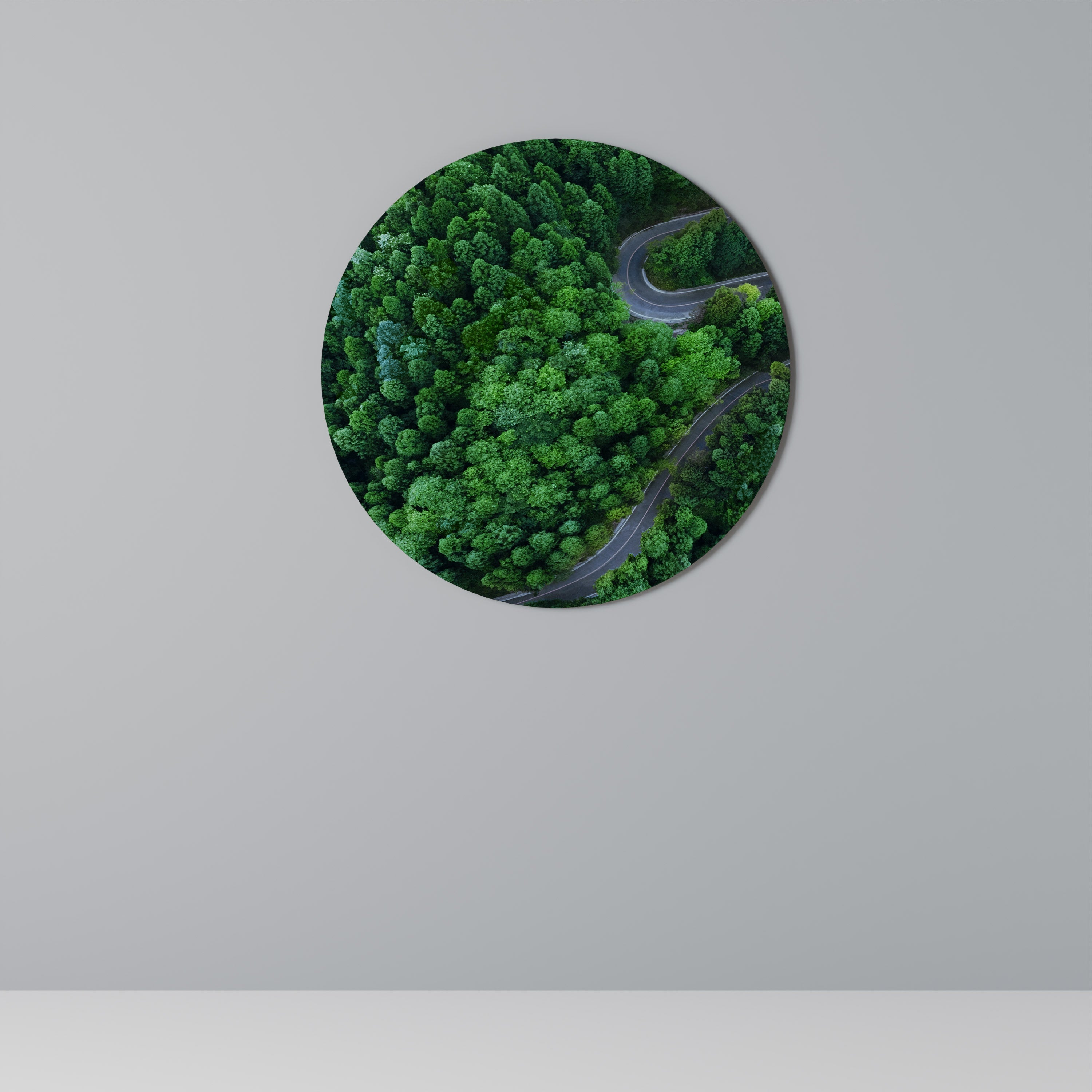 FÖRTROLLAD SKOGSRIDT Rund Väggkonst