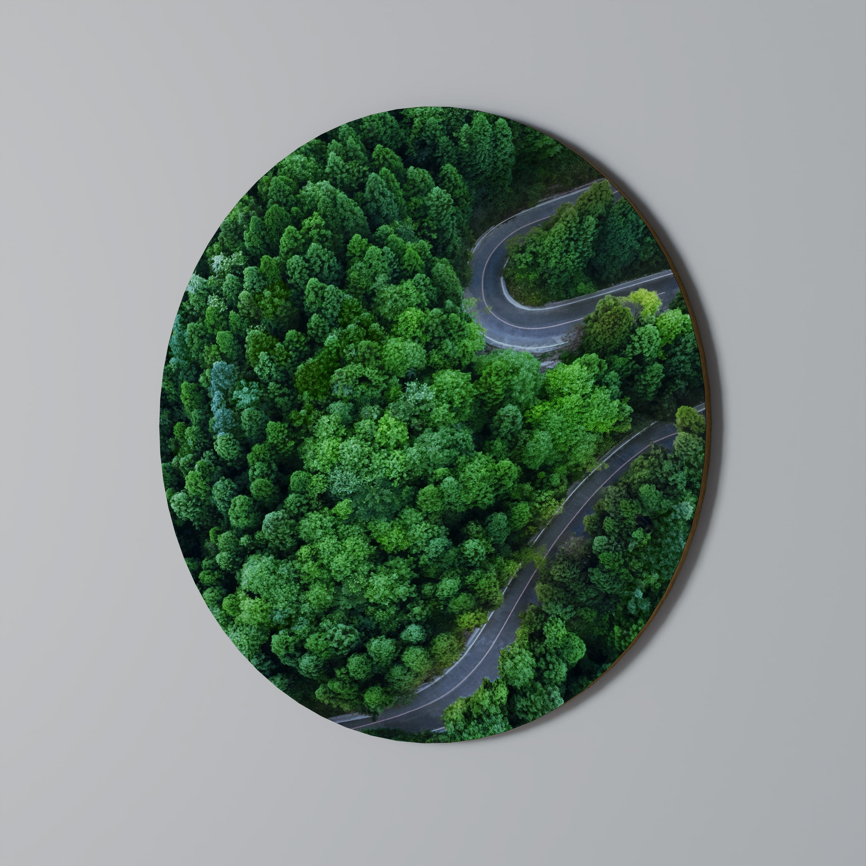 FÖRTROLLAD SKOGSRIDT Rund Väggkonst