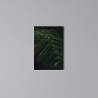 FERN FANTASY Vertical Canvas Print