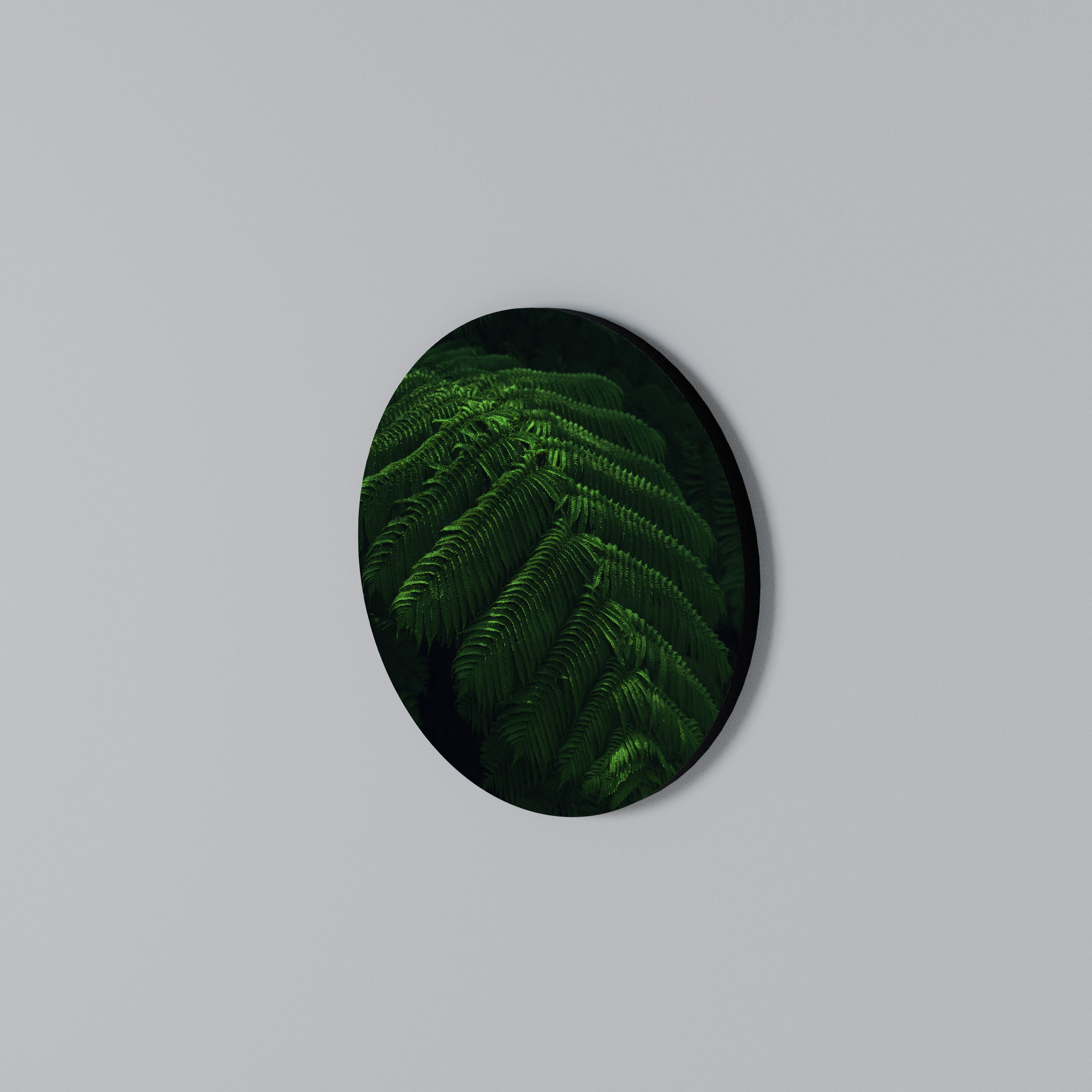 FERN FANTASY Rund väggdekor