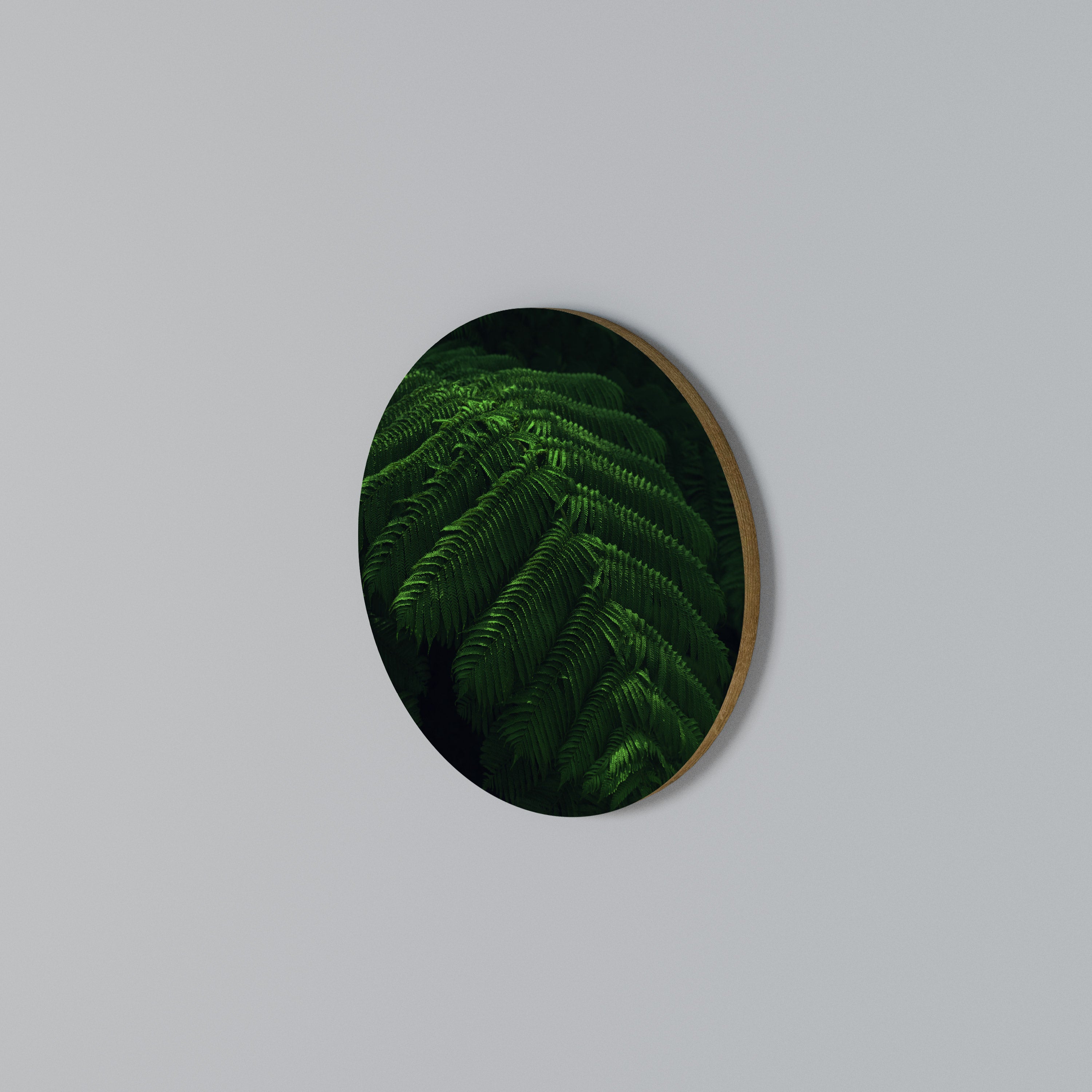 FERN FANTASY Rund väggdekor