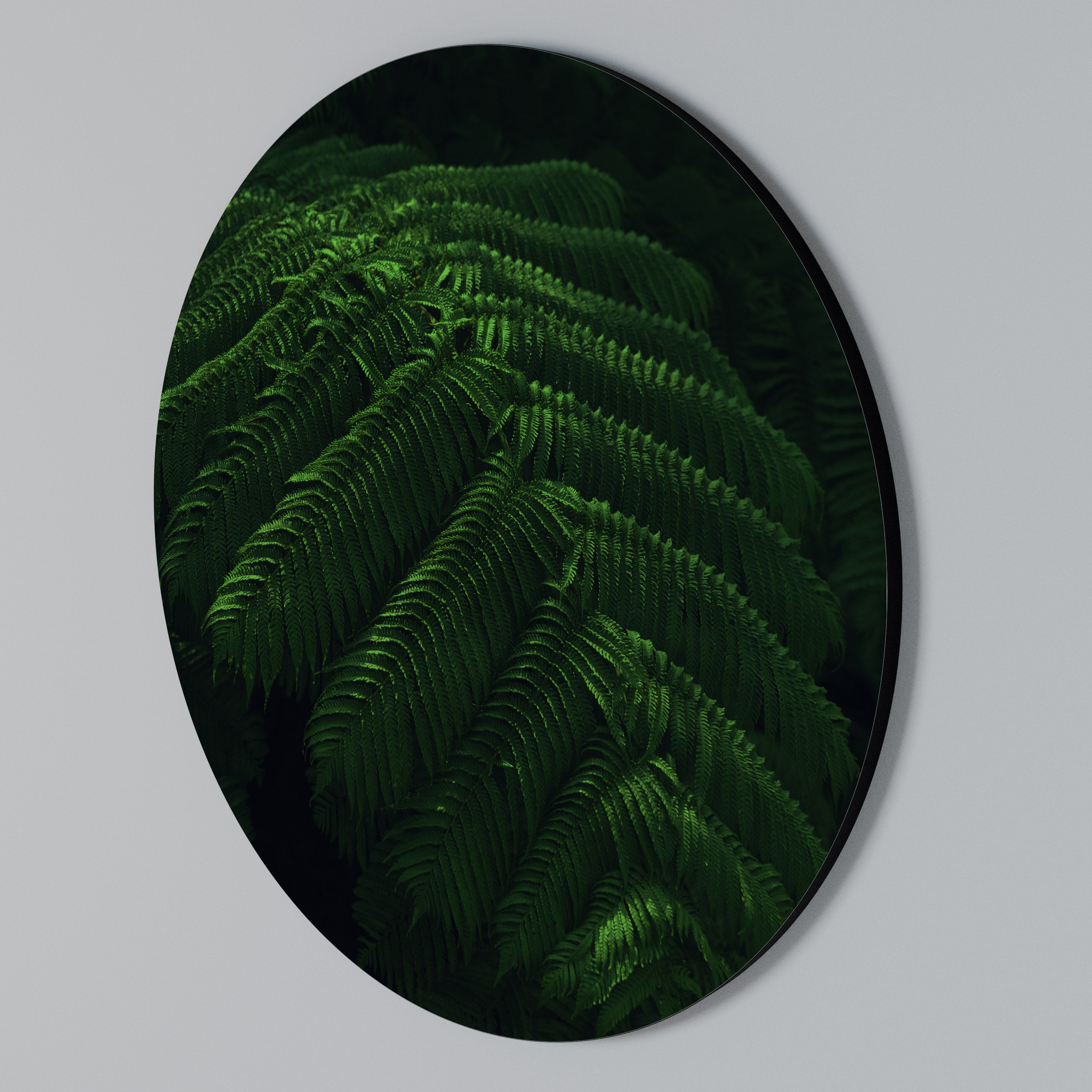FERN FANTASY Rund väggdekor