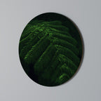 FERN FANTASY Round Wall Art