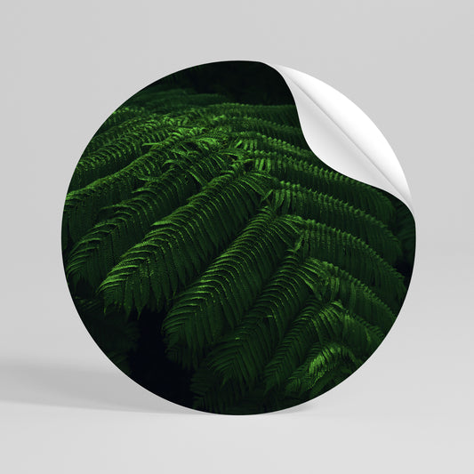 FERN FANTASY Rund väggdekal