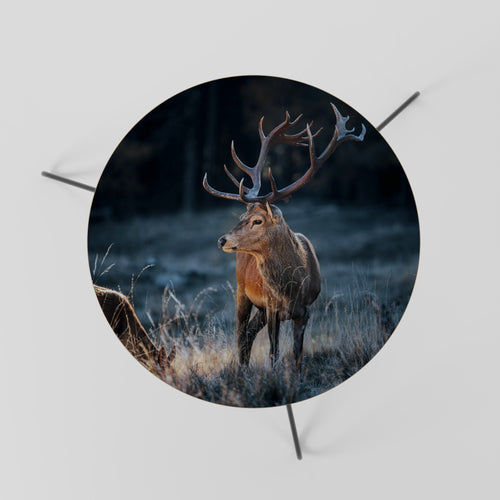 ANTLERED REGALITY Soffbord 60