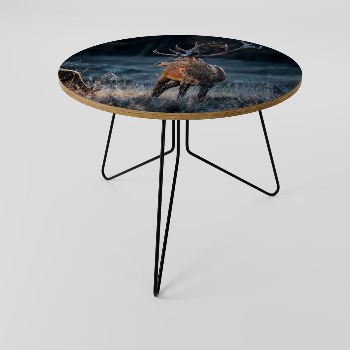 ANTLERED REGALITY Soffbord