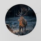 ANTLERED REGALITY Soffbord 69