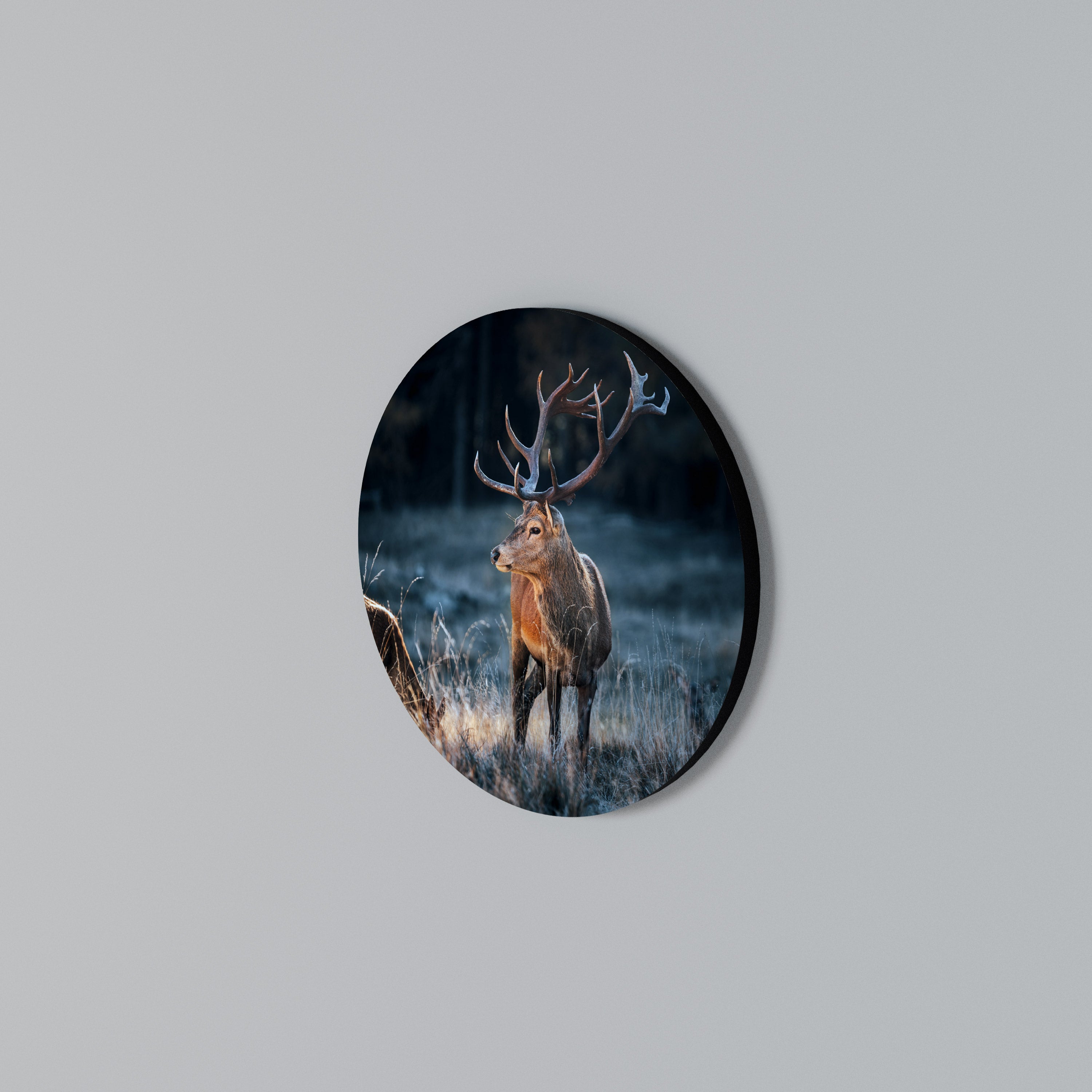 ANTLERED REGALITY Rund väggdekor
