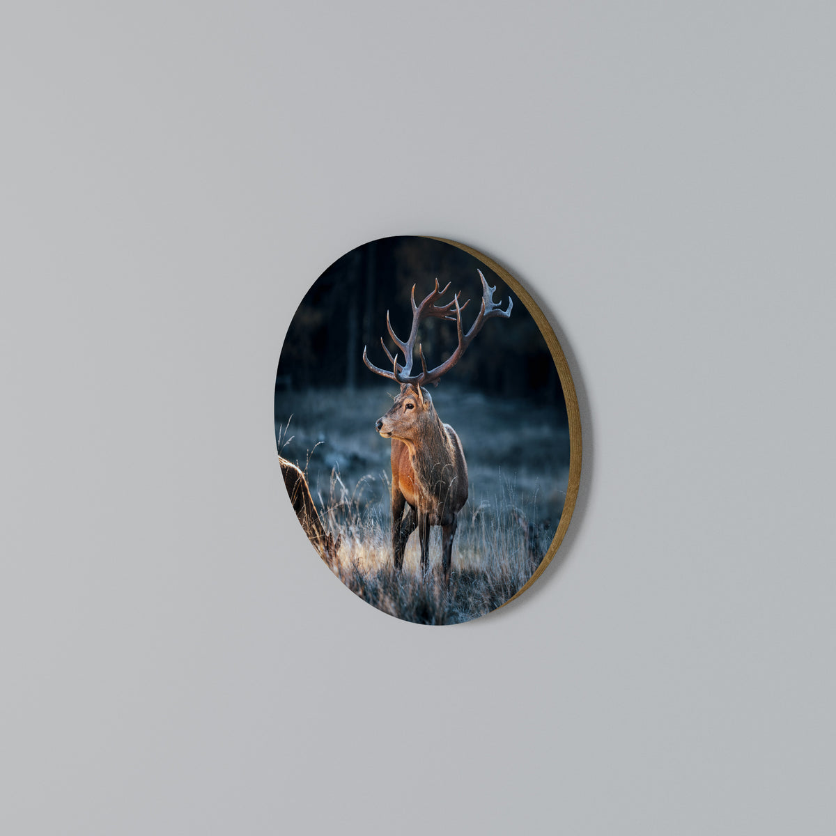 ANTLERED REGALITY Rund väggdekor