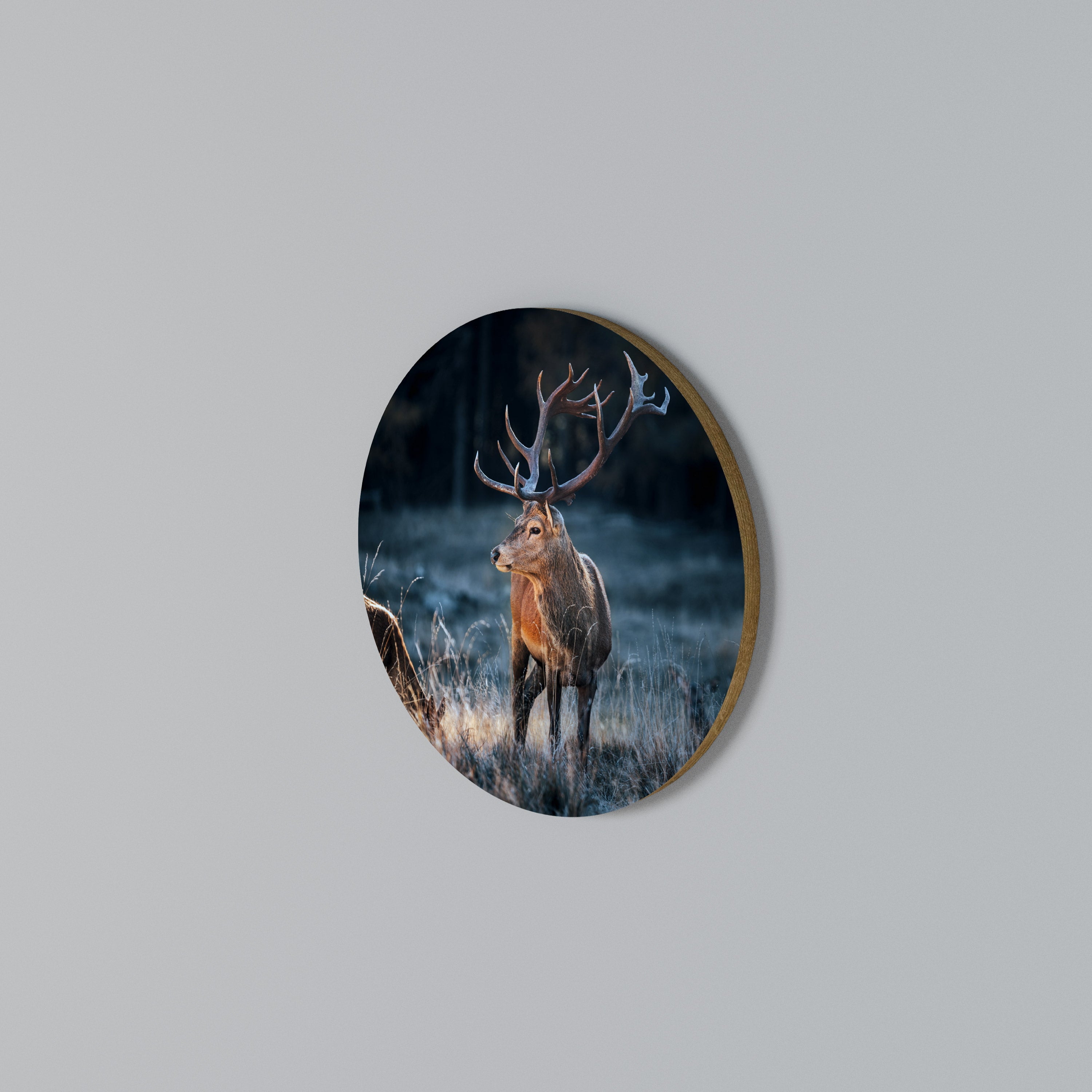 ANTLERED REGALITY Rund väggdekor