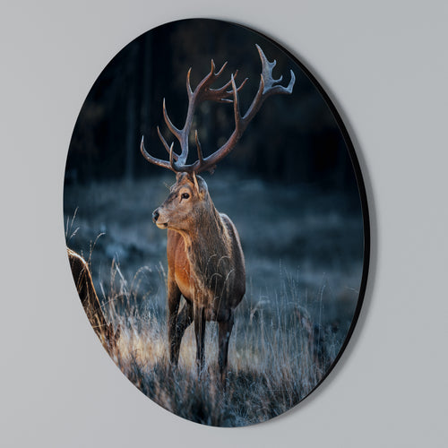 ANTLERED REGALITY Rund väggdekor