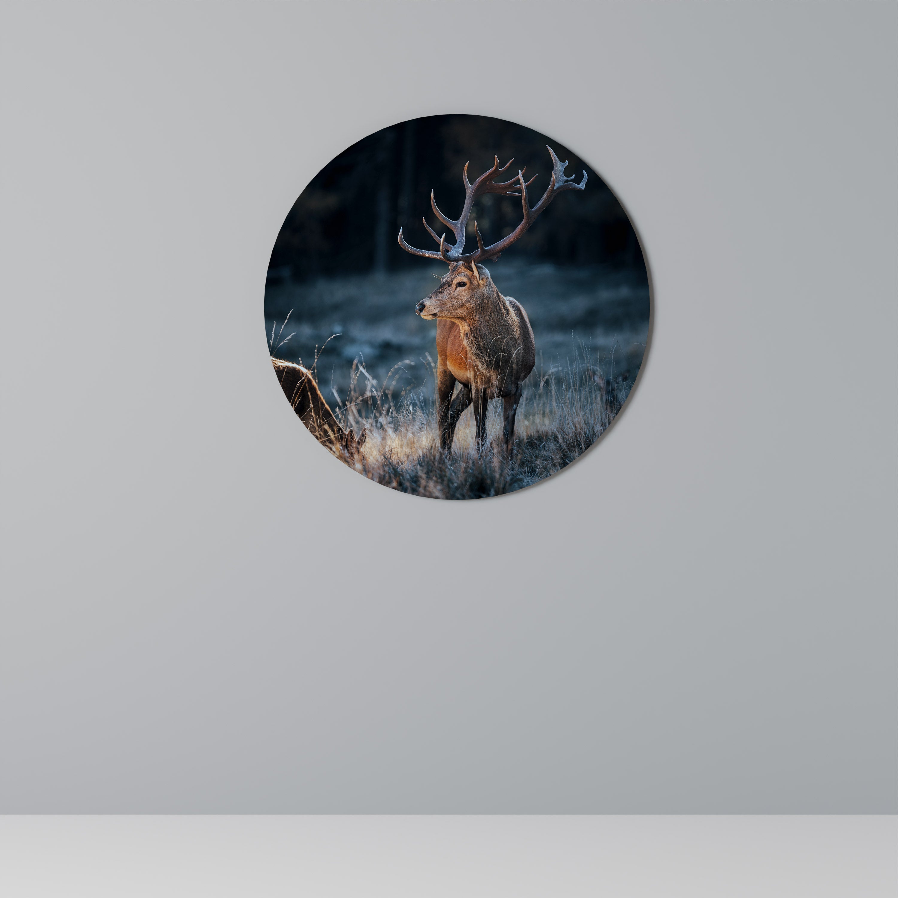 Rund väggdekoration med horn och regalitet