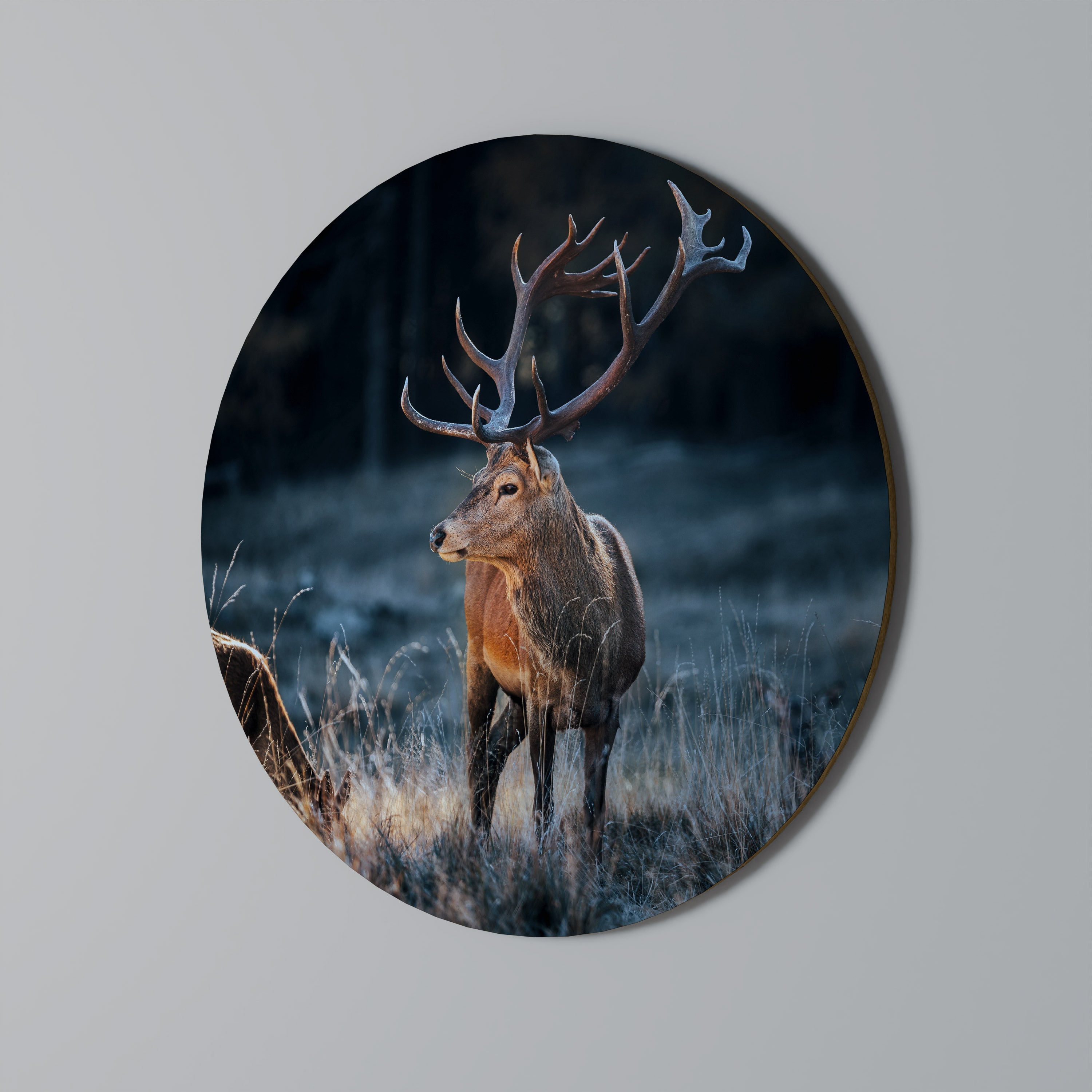 Rund väggdekoration med horn och regalitet