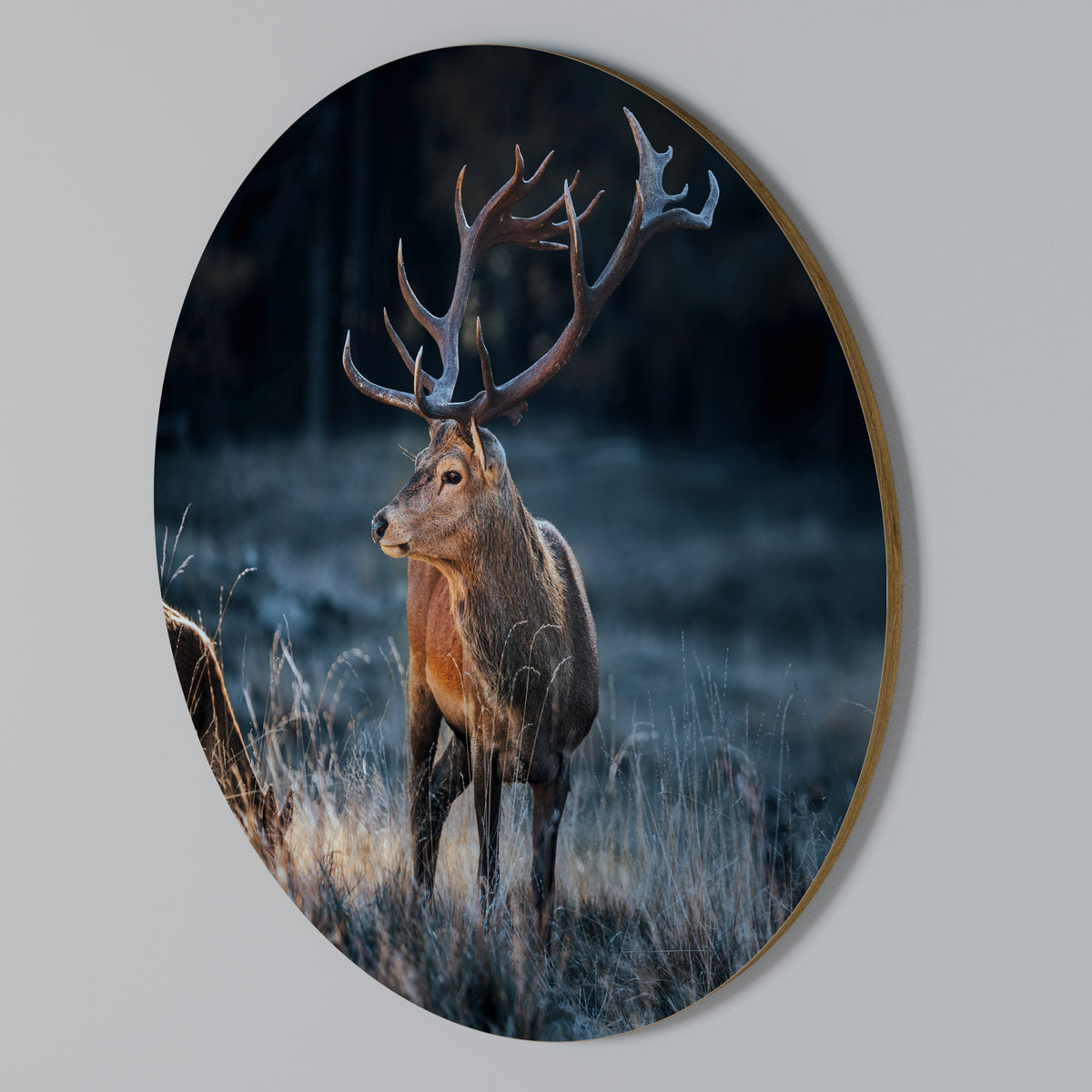 ANTLERED REGALITY Rund väggdekor