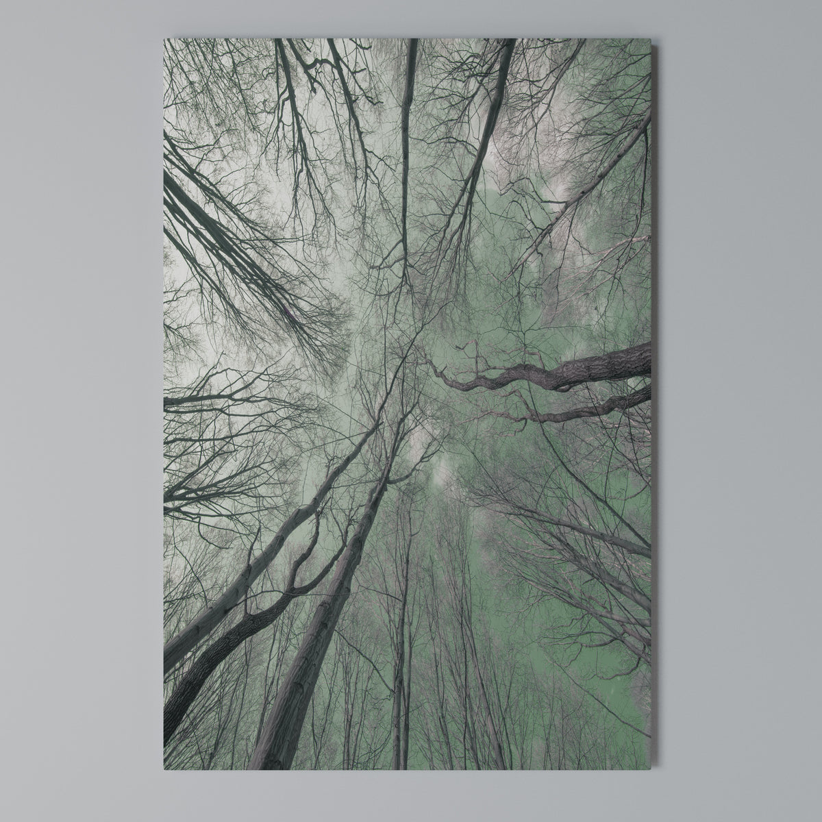 SKYWARD FANTASIES Vertical Canvas Print