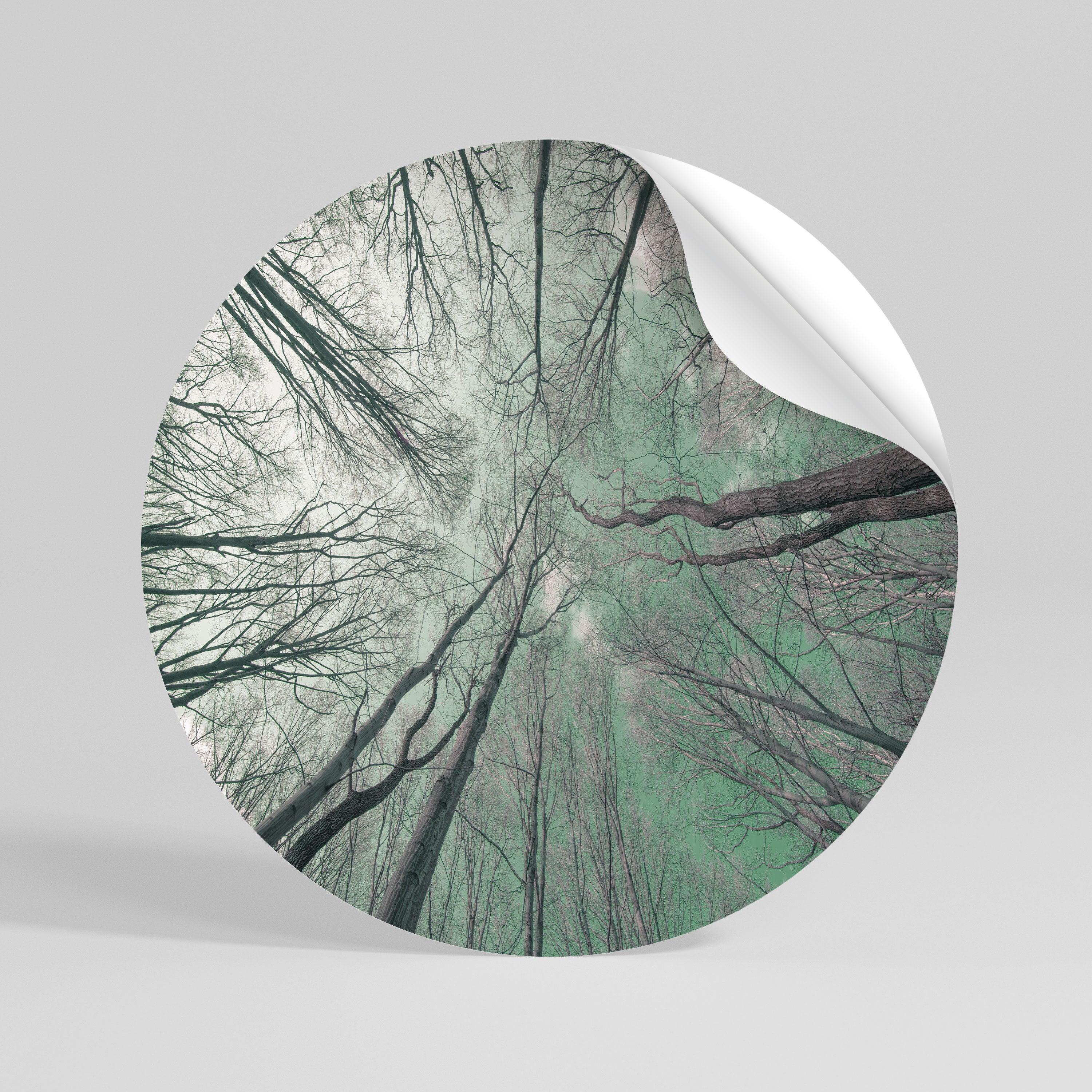 SKYWARD FANTASIES Rund väggdekal