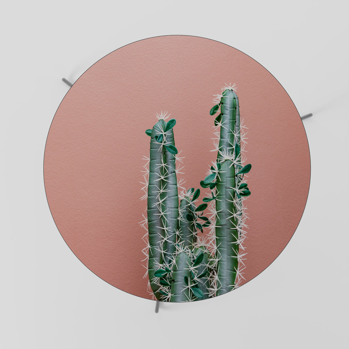 LORD CACTUS Soffbord