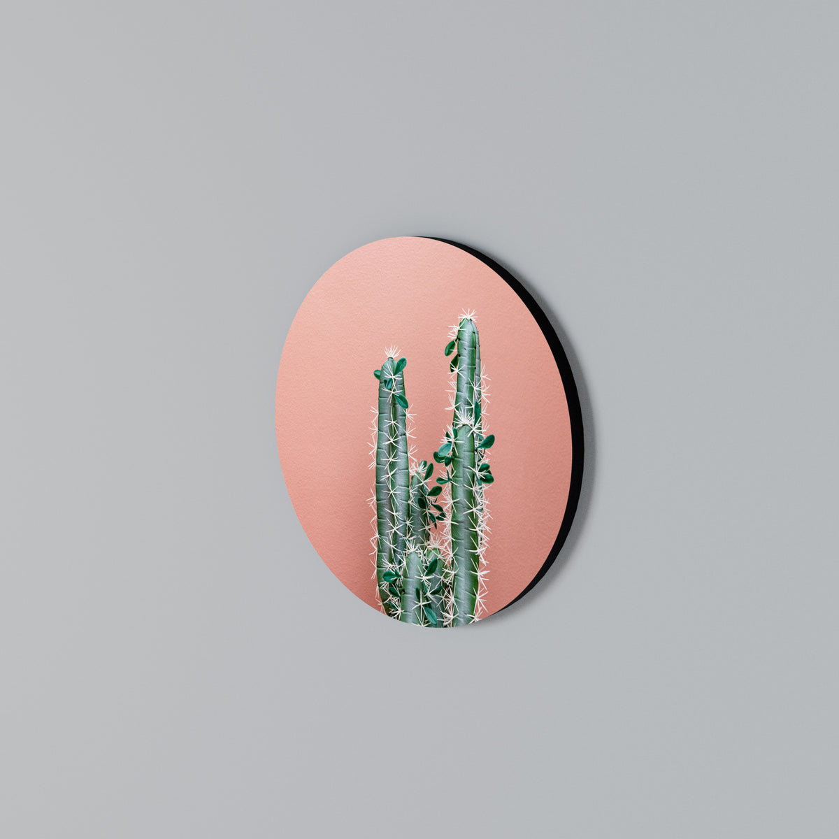 LORD CACTUS Rund väggdekor