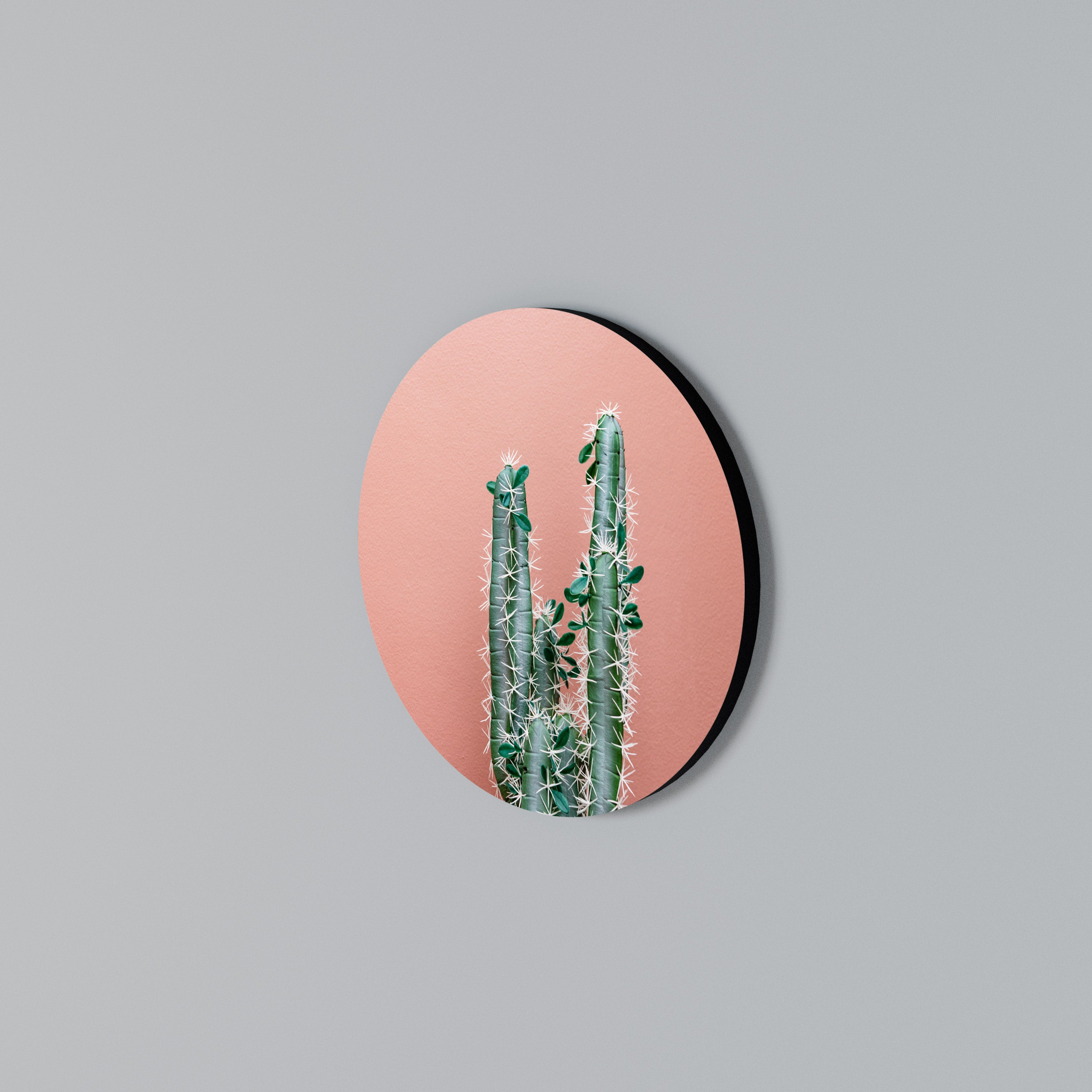 LORD CACTUS Rund väggdekor