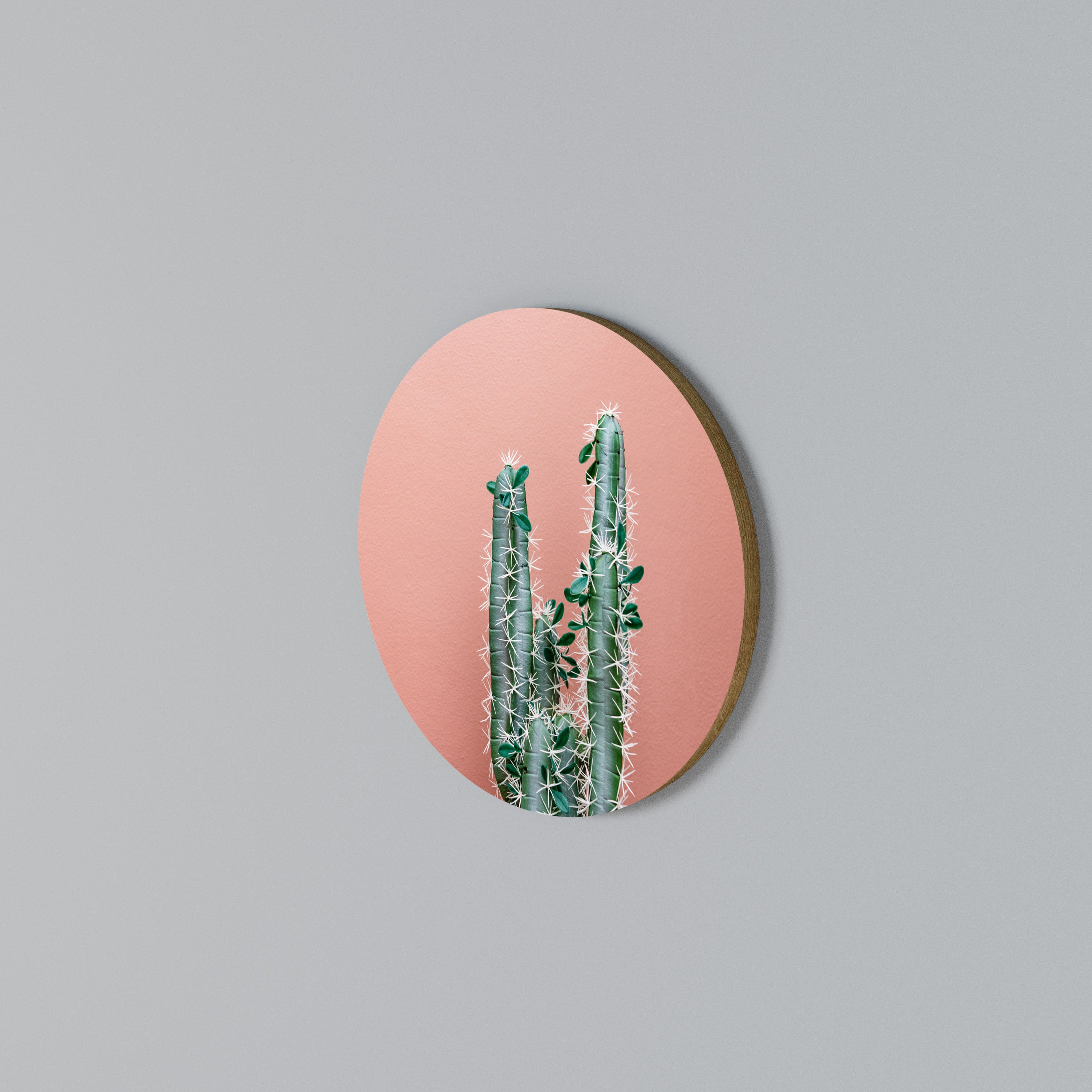 LORD CACTUS Rund väggdekor