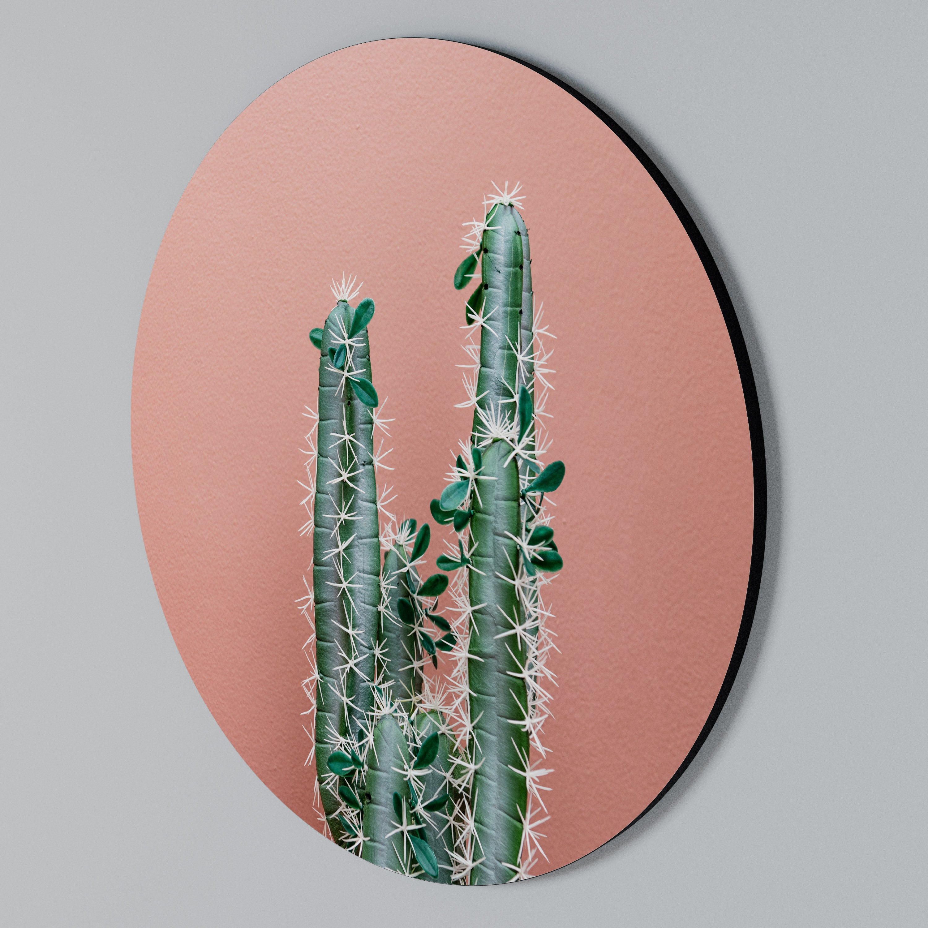 LORD CACTUS Rund väggdekor