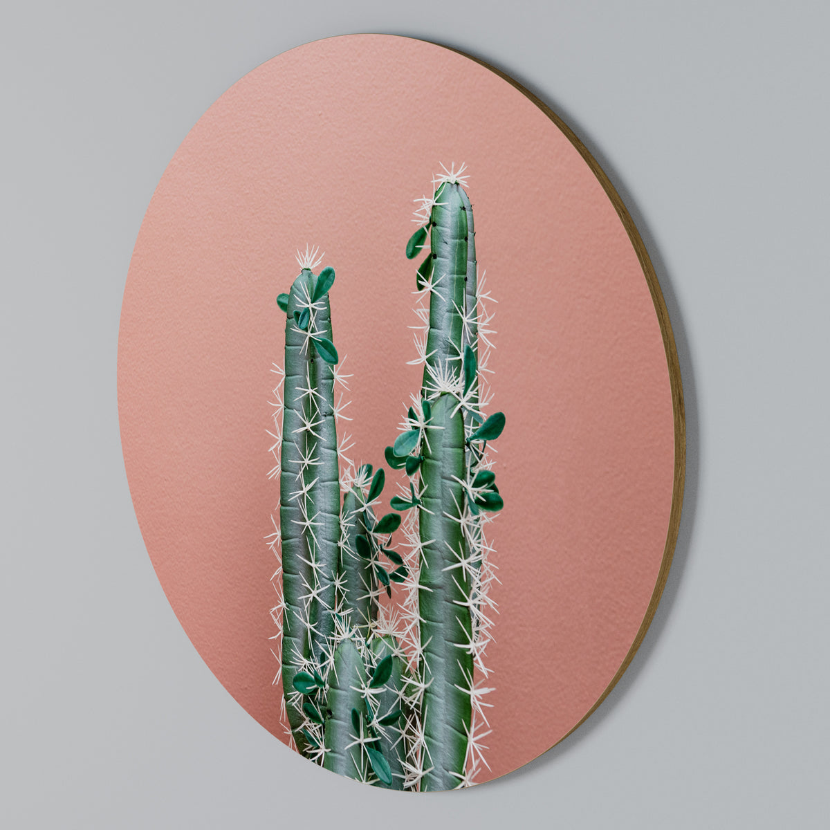 LORD CACTUS Rund väggdekor