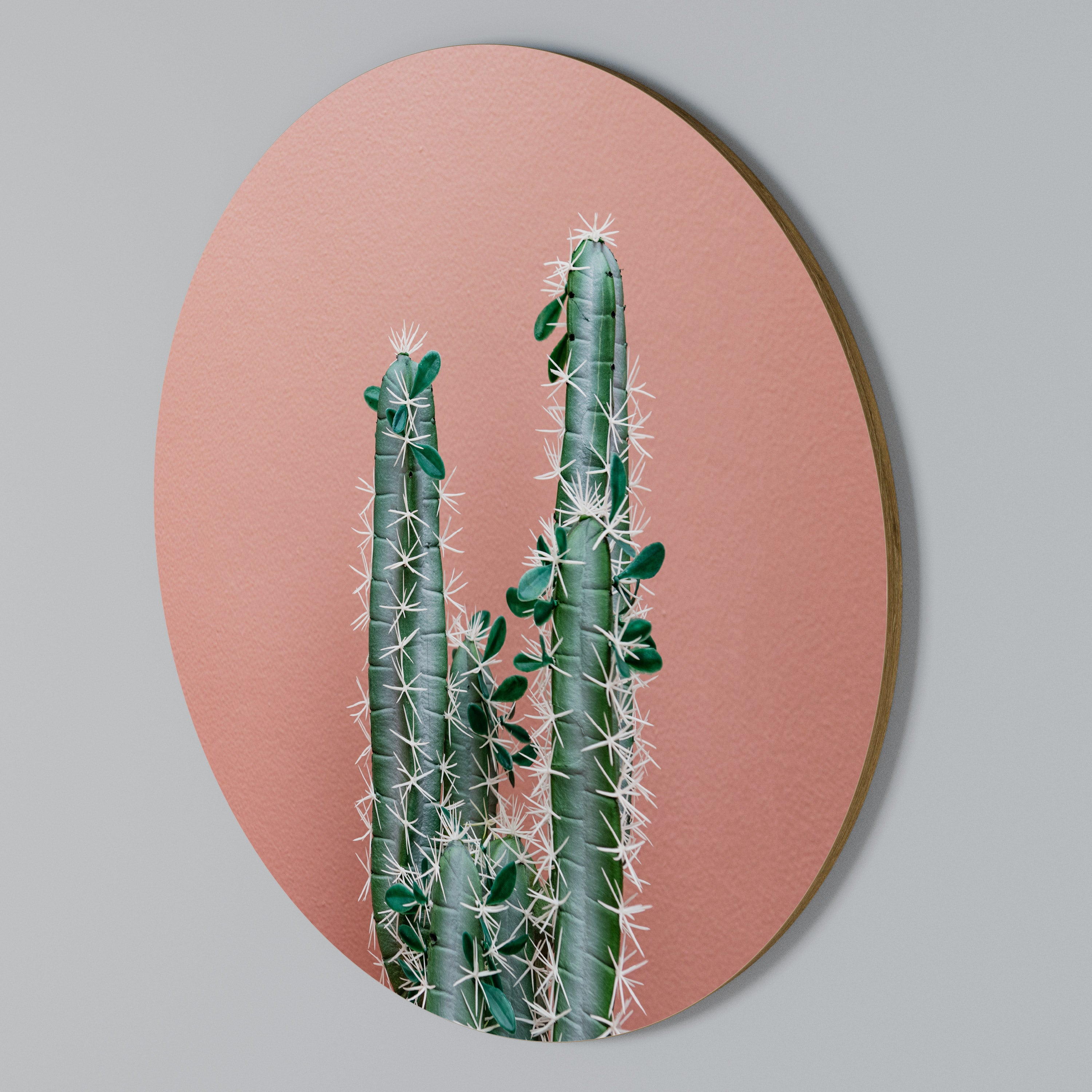 LORD CACTUS Round Wall Art