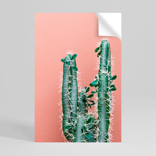 LORD CACTUS vertikal affisch med självhäftande motiv