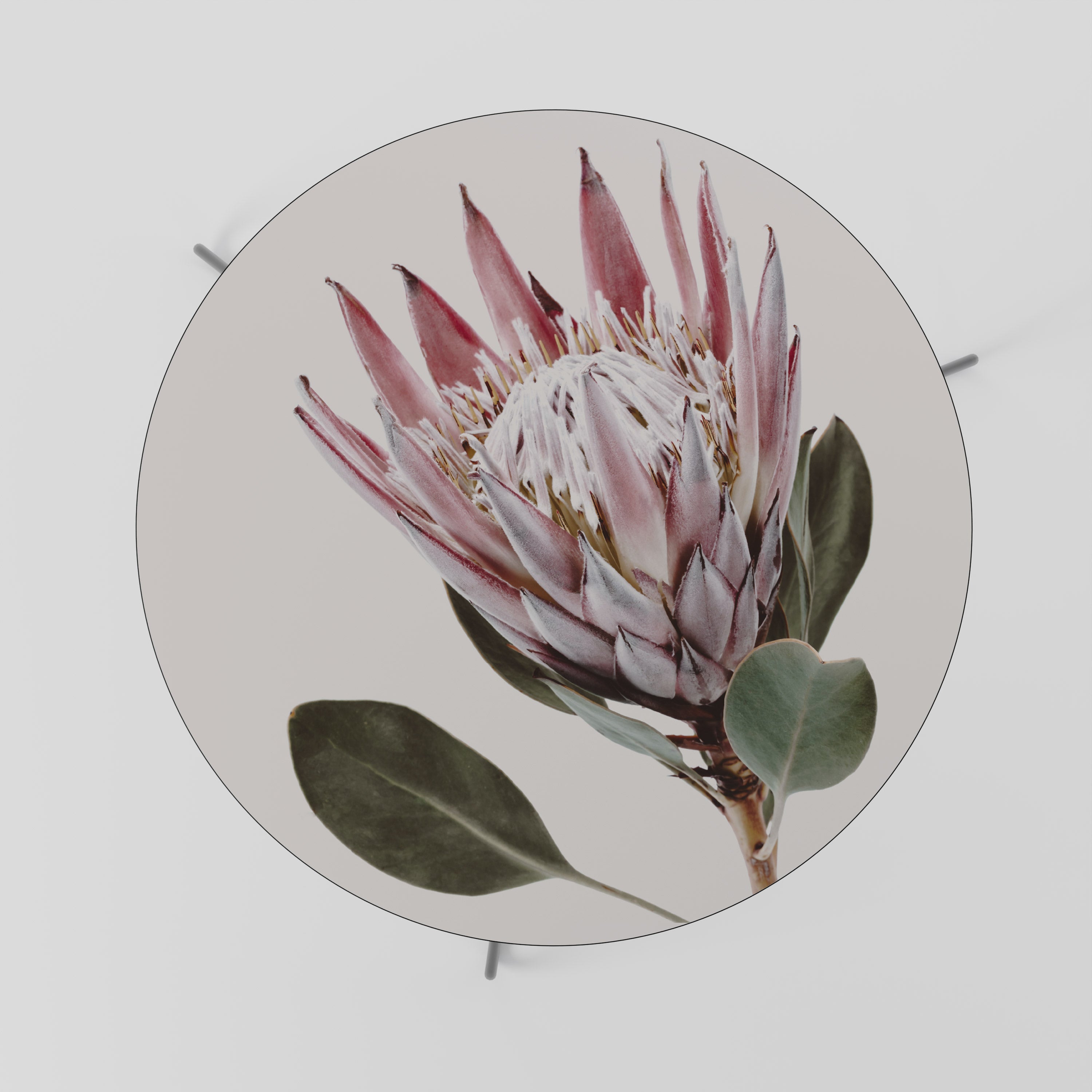 PROTEA FLOWER Coffee Table