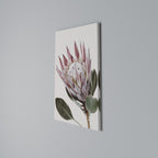 PROTEA FLOWER Vertical Canvas Print