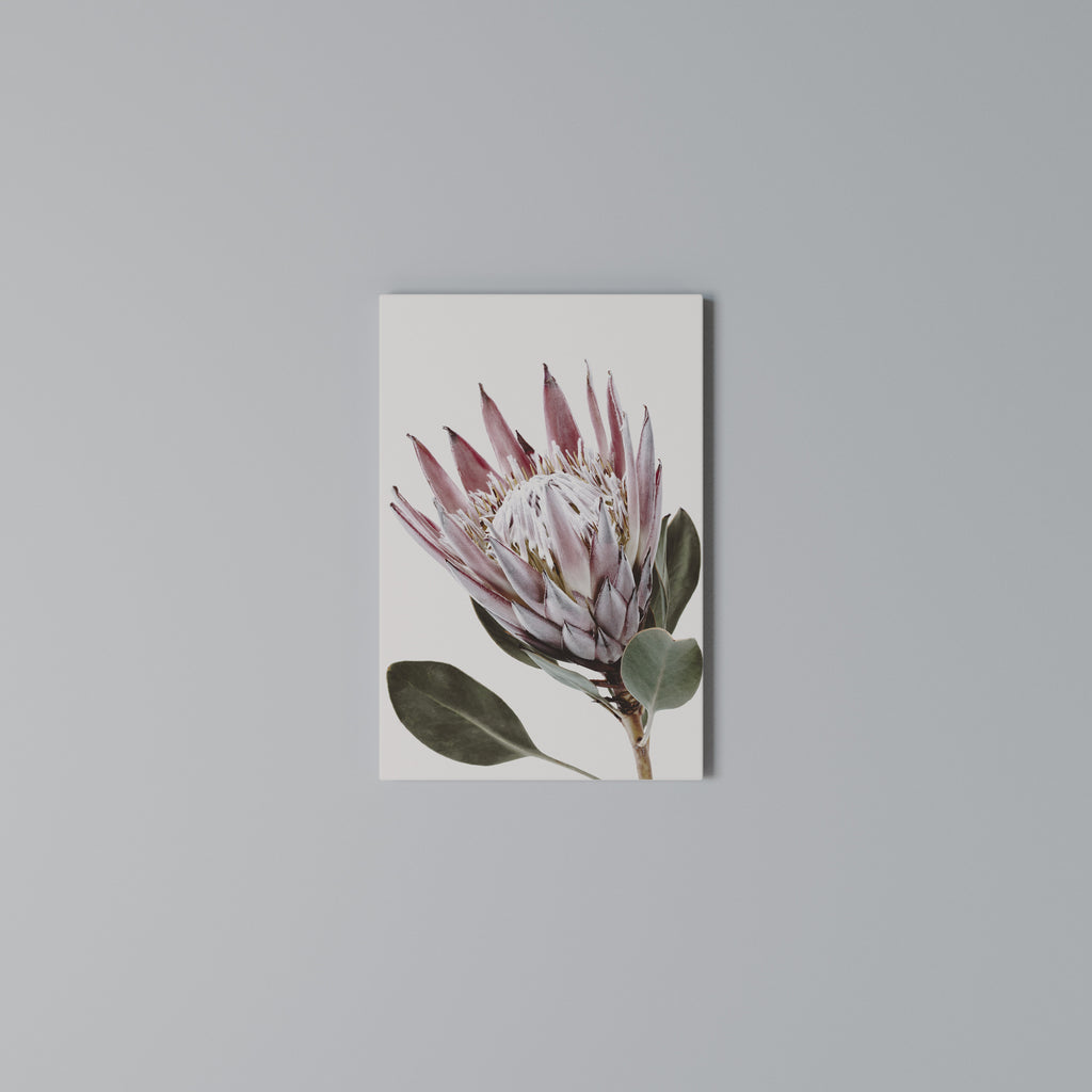 PROTEA FLOWER Vertical Canvas Print