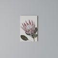 PROTEA FLOWER Vertical Canvas Print