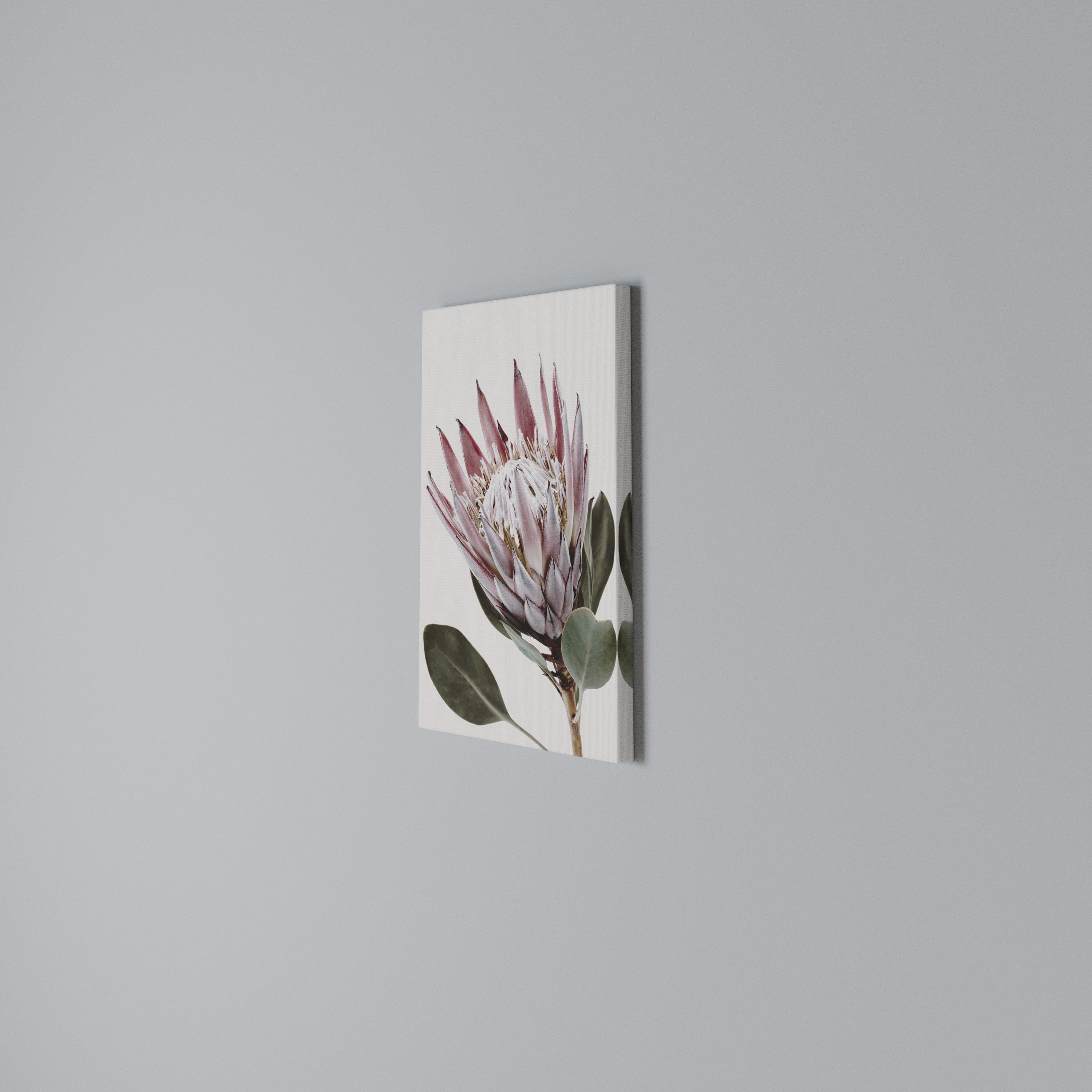 PROTEA FLOWER Vertical Canvas Print