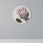 PROTEA FLOWER Round Wall Art