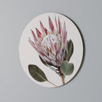 PROTEA FLOWER Round Wall Art