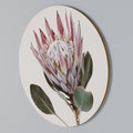 PROTEA FLOWER Rund väggdekor